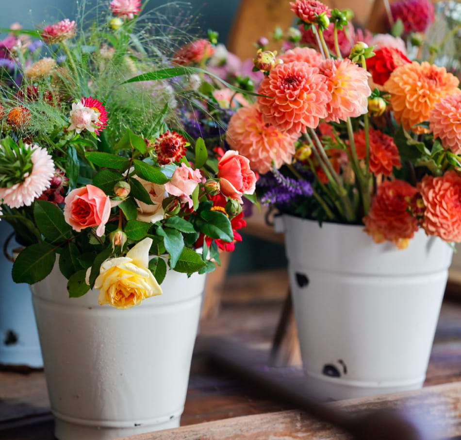 blumen-cafe-wilde-wiese-banner2